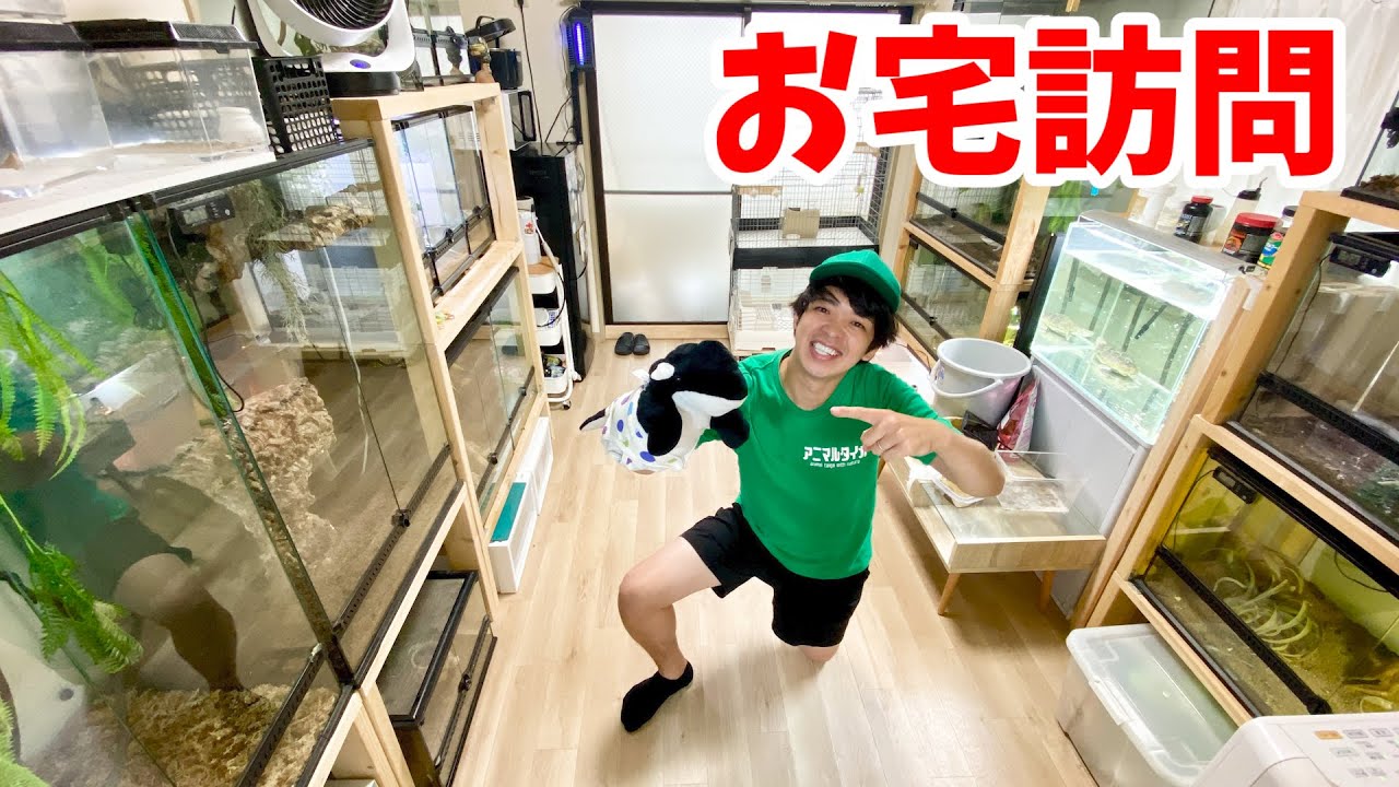 実は仲の良かった爬虫類YouTuberの飼育部屋に4年ぶりに潜入してみると...超かわいい◯◯◯がいました