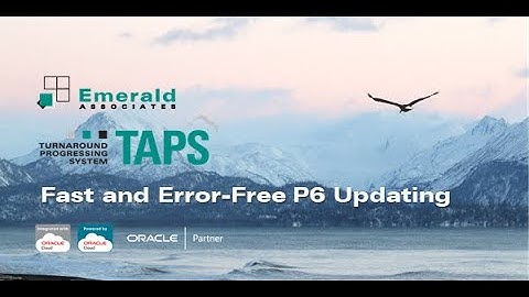 2022-04-13 - TAPS Webinar - Primavera P6 Barcode Updating