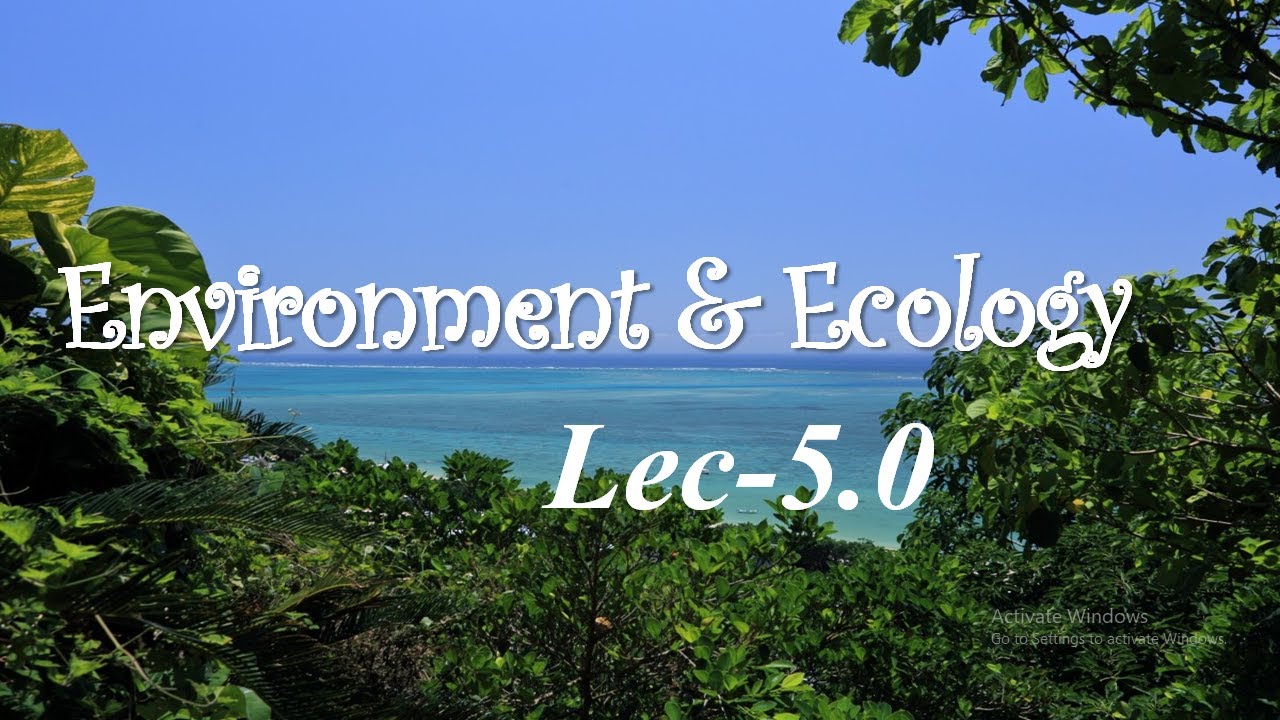 Food chain & Types| food Web|10% Energy Rule | UPSC General studies