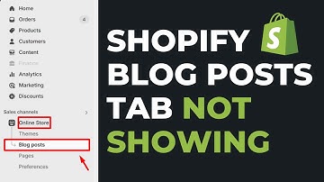Blog Posts Not Showing Up on Shopify | Shopify Blogs Not Showing in Admin