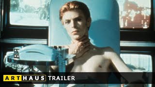 DER MANN, DER VOM HIMMEL FIEL | Trailer / Deutsch | Nicolas Roeg, David Bowie | ARTHAUS