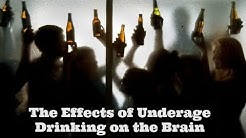 Effects of Alcohol on the Brain 
