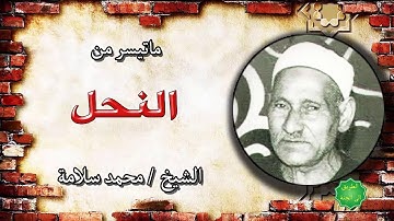 الشيخ محمد سلامة ماتيسر من سورة النحل