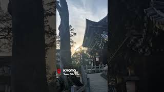 }Walking Through Kitano Tenmangū Shrine 🇯🇵 #shorts #japan #kyoto #japantravel