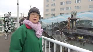 函館・サル山温泉　くつろぐ姿に海外メディアも注目