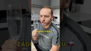 Thumbnail for Přítel ČR žádá o ruku 💍 #selixinho