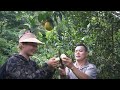 Harvesting lemons and crocodiles, Overcoming the aftermath of last night's flood