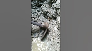 යමද මැණික් ඉල්ලම | Gemstone Mining Sri Lanka | How To Finding Gem #akd #trending #shorts