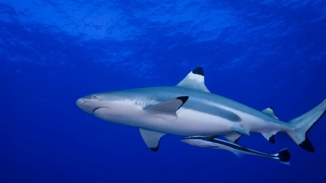 Tahiti #21 in World's Best Places to Visit