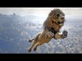 LION Falls and Crashes  | Euphoria Animal Ragdolls | RDR2 PC Mods