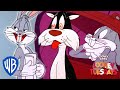 Looney Tuesdays | New Year, New Me (Maybe) | Looney Tunes | WB Kids