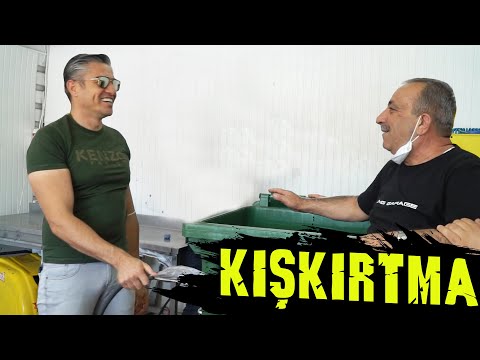 ALİ DAYI'YA KIŞKIRTMA