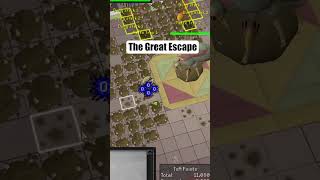 The Great Kephri Escape🔥 #osrs #oldschoolrunescape #runescape #gaming #shorts