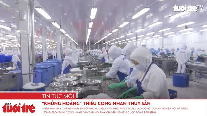 Coông ty công nghệ hóa chất cát linh năm 2024