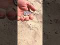 Beach Find – Gold Jewelry Unearthed in the Sand!