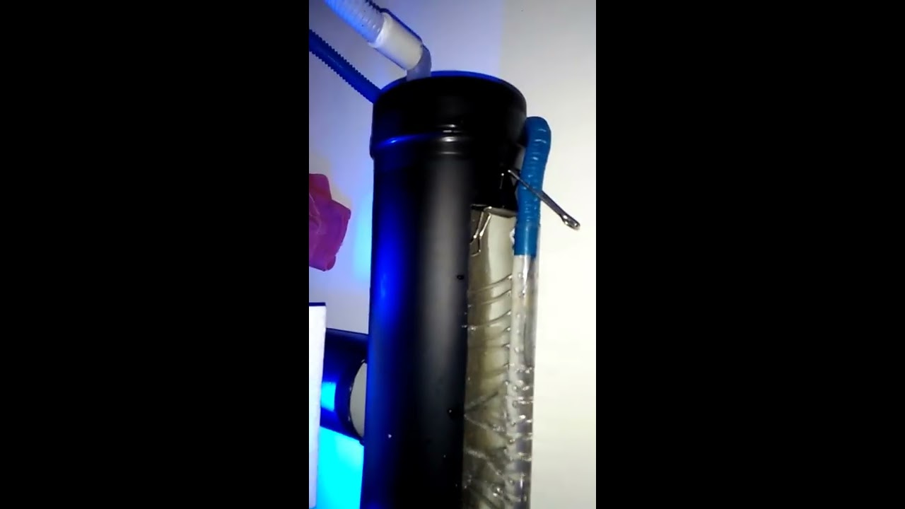 Aquarium Tanpa Kuras You Aquarium Tanpa Kuras You