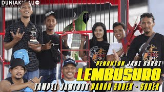 Cucak Ijo LEMBUSURO : PARUH SOBEK-SOBEK FULL POWER TEMBUS KE LUAR PAGAR
