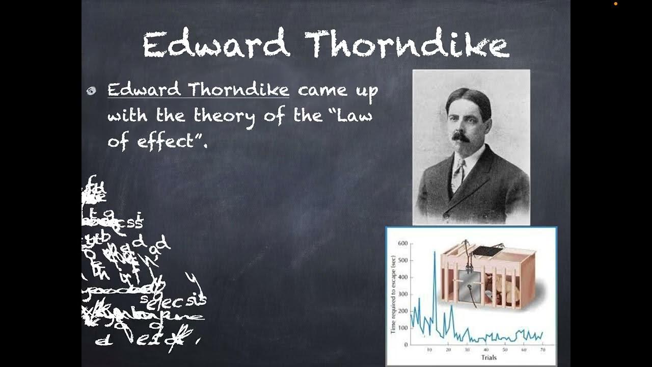 Operant Conditioning and Thorndike Law of Effect YouTube