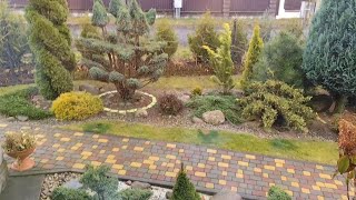 картинка: Начало ноября. Изменения в саду и не только... Радостные новости!