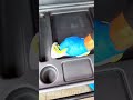 Washing car#washingcar #cleaningcar #asmr