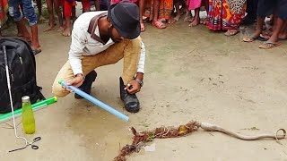 Indian Cobra snake trapped in the fishing net | Rescue by Bankim Snakesaver