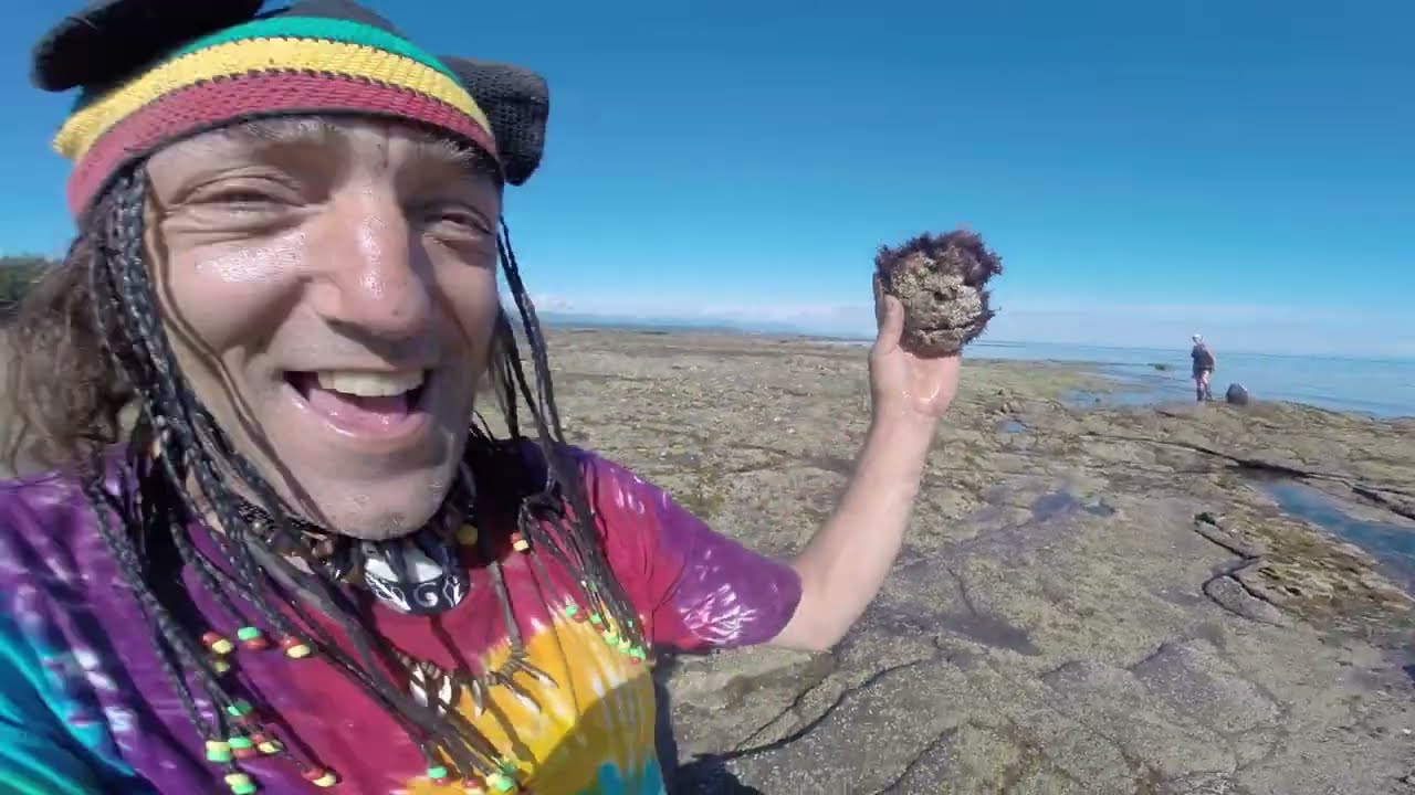 Fossil Rock Looks Like Skippy