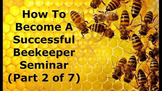 How to Become a Beekeeper