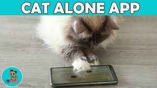 Cat Alone - Eine App FÜR Katzen im Test! ✅ screenshot 1