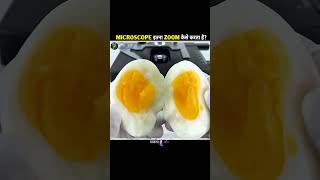 The Science Behind Microscope Zoom ✨ | #shorts #trending #facts