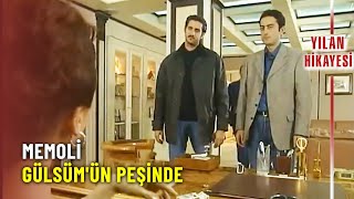 Memoli Ve Cem, Gülsümün Mekanını Basıyor - Yılan Hikayesi Özel 