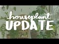 houseplant update, new growth & where I've been!