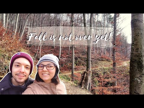 Lockdown tightens and Purkersdorf Hike (Austria travel Vlog) - 2020 -