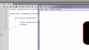Flash CS3/CS4 Actionscript 3.0 Basics Tutorial(Switch Case Statements 9)
