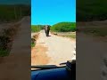 Bundala 