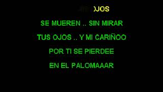 LOS CAMINANTES        -           ''PALOMA  NEGRA''             -            (KARAOKE)