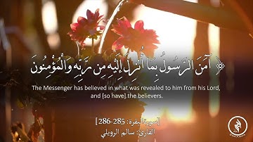 تلاوة هادئة - خاتمة سورة البقرة - آية (285-286) - للقارئ: سالم الرويلي