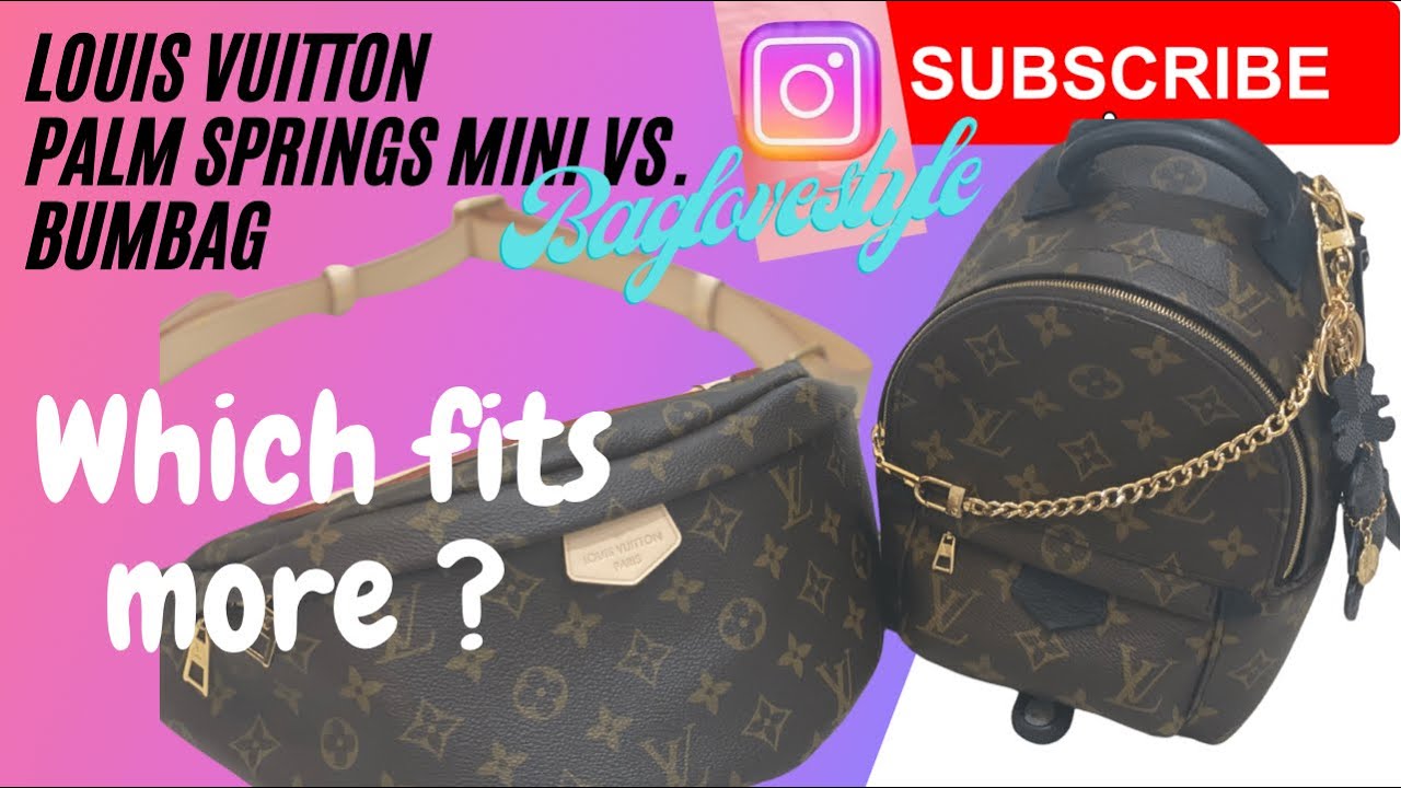 Louis Vuitton Bumbag vs Palm Springs Mini 