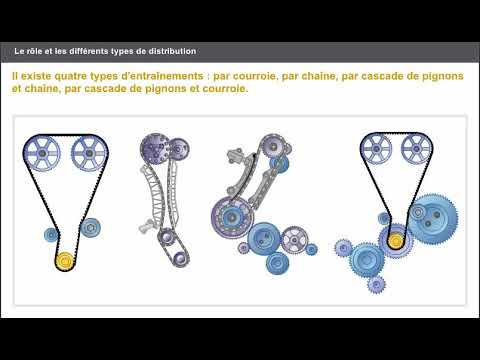 types of distribution