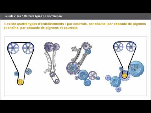 Vidéo: Bouchon annelé : description, distribution, goût