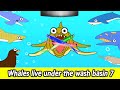 Whales live under the wash basin 7, kids animals animation, whales adventureㅣCoCosToy