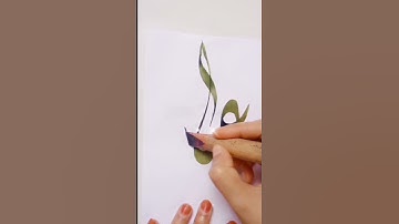 ABBAS (A.A) name calligraphy // nisha