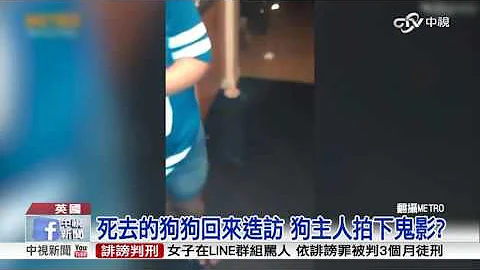 死去狗狗回来造访 狗主人拍下鬼影?│中视新闻 20160418 - 天天要闻