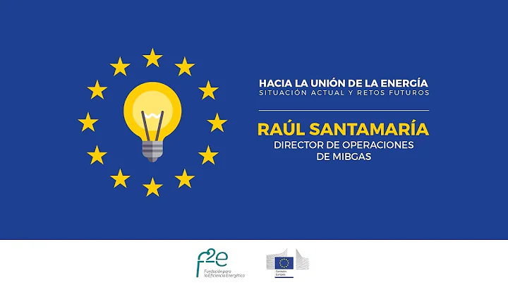 Debate "Hacia la unin de la energa" - Ral Santamar...