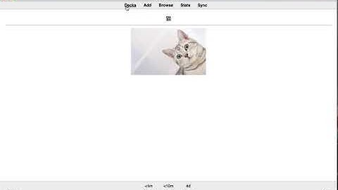 Anki Tutorial: How to Change the Default Font Size
