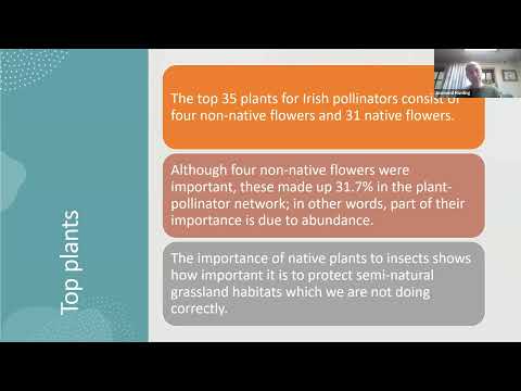 The Hare's Corner Clinic: Managing your land for butterflies