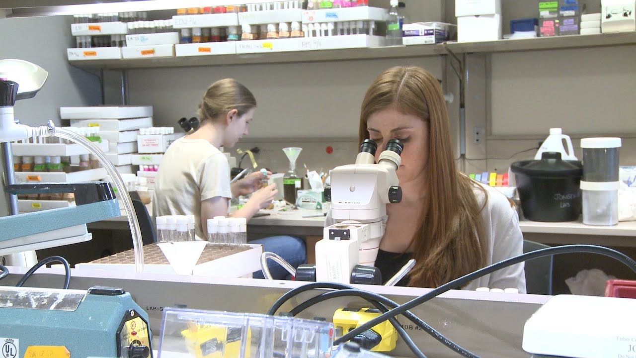 Science That Takes Risks: Biomedical Researchers Receive Pew Awards ...