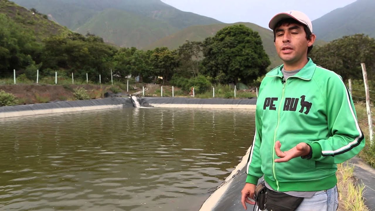 Riego tecnificado para pequeños agricultores de Cascas