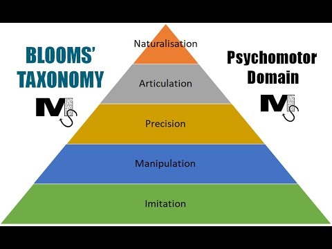 Video: Wat zijn de niveaus van het psychomotorische domein?