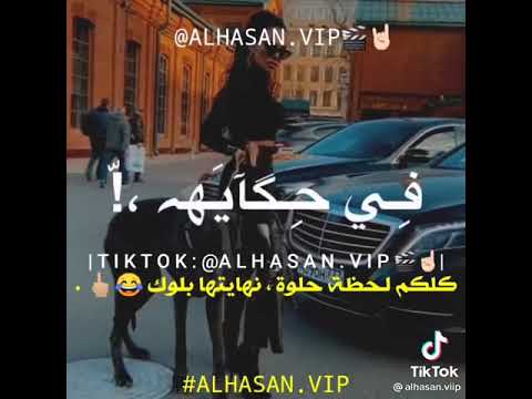 كلبي البرنس اجدع منكو