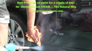 Egg  Removal in a black BMW